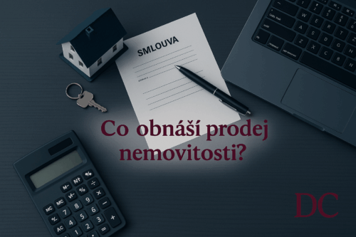 Daniel Centový - realitní makléř z RE/MAXu -prodej bytů